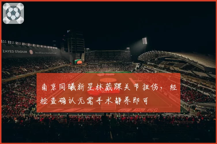 南京同曦新星林葳踝关节扭伤,经检查确认无需手术静养即可