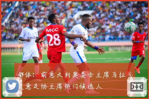 都体：前意大利奥委会主席马拉戈是意足协主席热门候选人